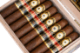 Buy Perdomo 12 Year Aged Vintage Sun Grown Robusto at Small Batch Cigar