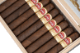 Buy HVC EE 2015 Maduro El Grandote Online at Small Batch Cigar