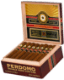 Buy Perdomo 12 Year Aged Vintage Sun Grown Gordo at Small Batch Cigar
