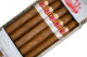Buy Hoyo de Monterrey Shade Toro Online at Small Batch Cigar