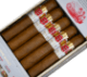 Buy Hoyo de Monterrey Shade Rothchild Online at Small Batch Cigar