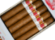 Buy Hoyo de Monterrey Shade Gigante Online at Small Batch Cigar
