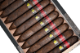 Buy Zombie Biohazard Red by Viaje Cigar Online at Small Batch Cigar