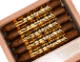 Buy CAO Arcana Stokk Online at Small Batch Cigar