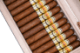 Buy La Aurora Hors D'Age 2024 Online at Small Batch Cigar