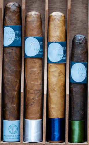 Principle Accomplice Cigar Sampler