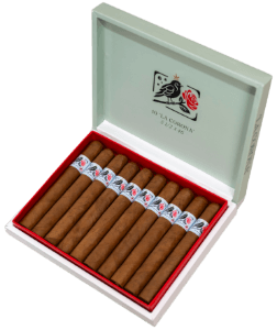 Buy Drop Bird on a Rose at Small Batch Cigar