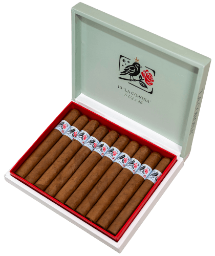 Buy Drop Bird on a Rose at Small Batch Cigar