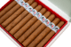 Buy Drop Bird on a Rose at Small Batch Cigar