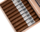 Buy Blackbird Cigar Co Glitch Habano Toro Online at Small Batch Cigar