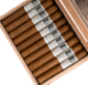 Buy Blackbird Cigar Co Glitch Claro Toro Online at Small Batch Cigar