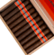 Buy Cohiba Rubicon Gordo Online at Small Batch Cigar