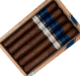 Buy Cavalier Genéve Limited Edition 2025 Online at Small Batch Cigar