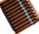 Buy Warped Cigars EL OSO PAPA Online at Small Batch