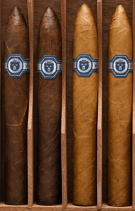 Picture of Warped El Oso Sampler