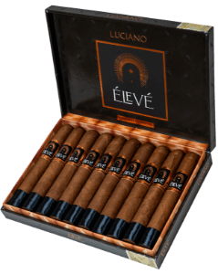 Buy Luciano Élevé Online at Small Batch Cigar