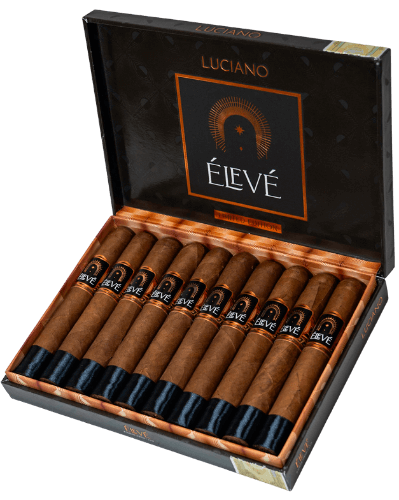 Buy Luciano Élevé Online at Small Batch Cigar