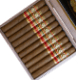Buy Perdomo 30th Anniversary Connecticut Churchill at Small Batch Cigar