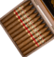 Buy Perdomo 30th Anniversary Connecticut Torpedo at Small Batch Cigar