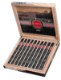 Buy Eiroa CBT Maduro 7 x 38 Online: