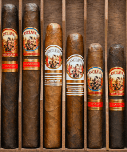Buy the AJ Fernandez Enclave Sampler Online at Small Batch Cigar