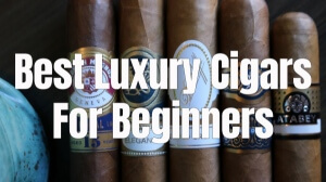 Best Luxury Cigars for Beginners (Video)