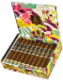 Buy Trinidad Espiritu Miami Edition Belicoso Online at Small Batch Cigar