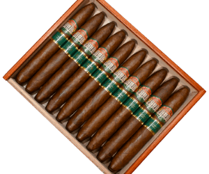 Buy Villa Casdagli Edicion Limitada Salomones Online at Small Batch Cigar
