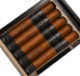 Buy Hermanos de Armas Cataclysm Robusto Online at Small Batch Cigar