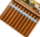 Buy Aladino Connecticut Gordo at Small Batch Cigar