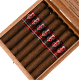 Buy Powstanie San Andrés Corona Gorda Online at Small Batch Cigar