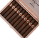 Buy Warped Corto X54 Maduro Online at Small Batch