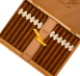 Picture of Davidoff Aniversario Double R (2010 Vintage)