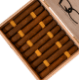 Buy Prolific Maduro BP Toro by Definition Cigars Online at Small Batch Cigar