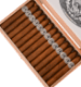 Buy Warped Nicotina Online at Small Batch Cigar