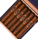 Buy Tradecraft Gladius Robusto Online at Small Batch Cigar