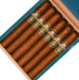 Buy Tradecraft The Azorian Corona Gorda Online at Small Batch Cigar