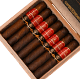 Buy La Aurora 107 USA Robusto Online at Small Batch Cigar