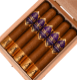Buy Amar Robusto by AJ Fernandez Online at Small Batch Cigar