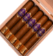 Buy Amar Gordo by AJ Fernandez Online at Small Batch Cigar