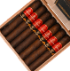 Picture of La Aurora 107 USA Gran Toro