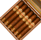 Buy La Aurora 1903 Edition Corojo Toro at Small Batch Cigar
