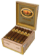 Buy La Aurora 1903 Edition Corojo Toro at Small Batch Cigar