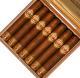 Buy La Aurora 1903 Edition Corojo Robusto at Small Batch Cigar