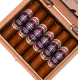 Buy Chateau Diadem Certitude Robusto Online at Small Batch Cigar