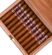 Buy Chateau Diadem Certitude Robusto Online at Small Batch Cigar