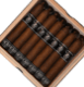 Buy BLTC Macabre Robusto Online at Small Batch Cigar