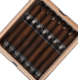 Buy BLTC Macabre Corona Gorda Online at Small Batch Cigar