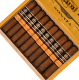 Buy Aging Room Quattro Nicaragua Sonata Espressivo Online at Small Batch Cigar