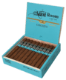 Buy Aging Room Quattro Nicaragua Concerto Vibrato Online at Small Batch Cigar
